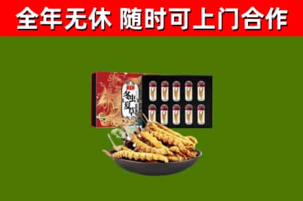阳明回收冬虫夏草价格