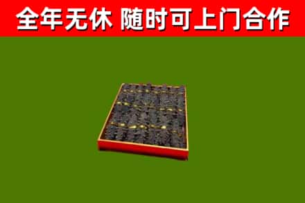 阳明回收海参